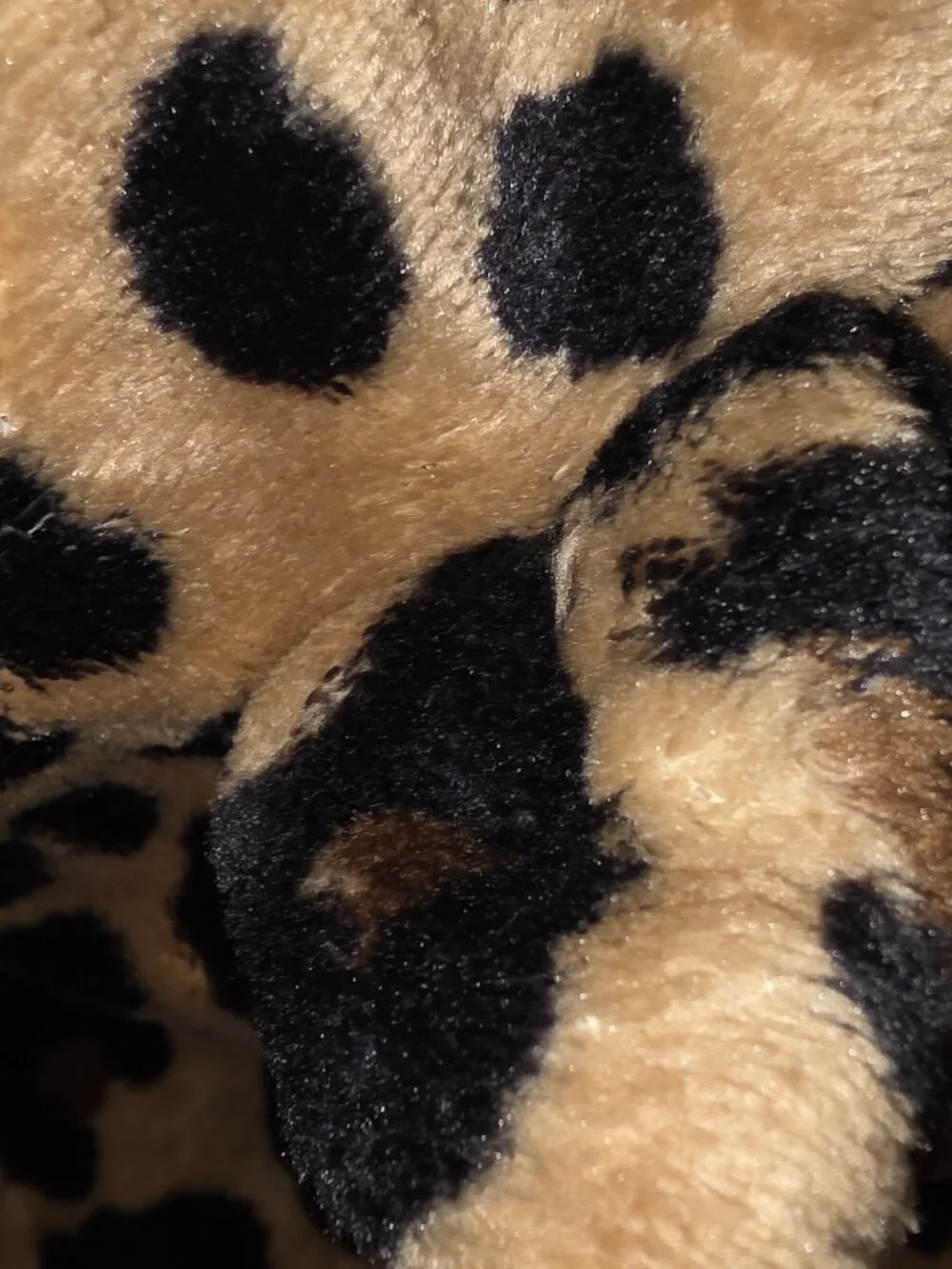 Plush Leopard Print Belted Plush Hooded Robe Cat Ears Girls Sz 14 Fluffy Warm